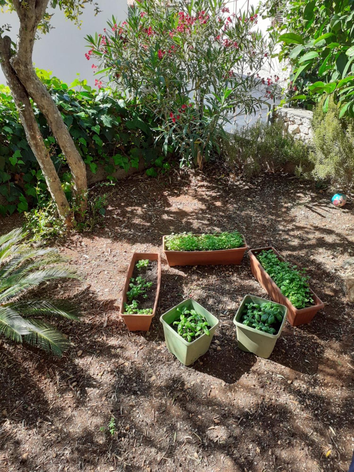 Apartman Gordana Trogir Exterior photo